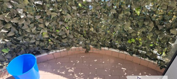 2 rooms Apartment in Rimini, Italy No. 30164 23