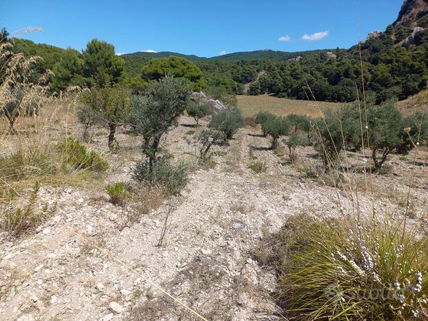 Земельный участок 30000м² в Палермо, Италия № 309656