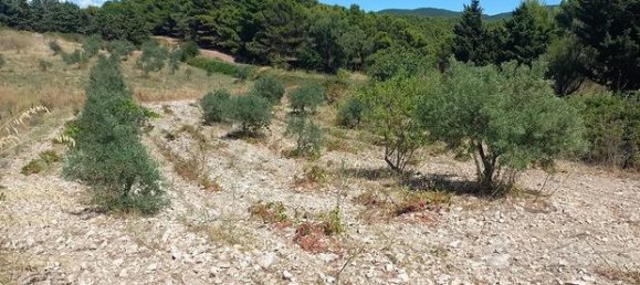 Земельный участок 30000м² в Палермо, Италия № 309656 2