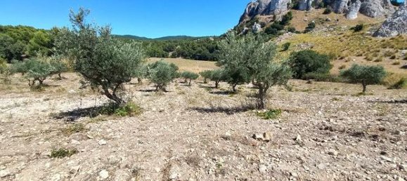 Земельный участок 30000м² в Палермо, Италия № 309656 6