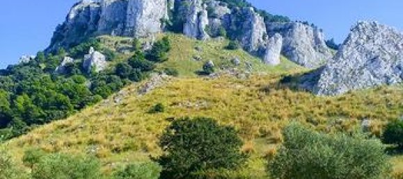 Земельный участок 30000м² в Палермо, Италия № 309656 3