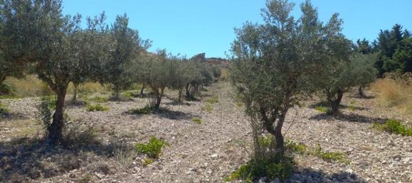 Земельный участок 30000м² в Палермо, Италия № 309656 5