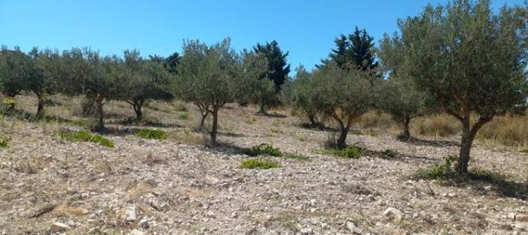 Земельный участок 30000м² в Палермо, Италия № 309656 4