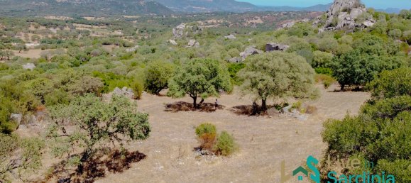 3 bedrooms House in Telti, Italy No. 340769 11