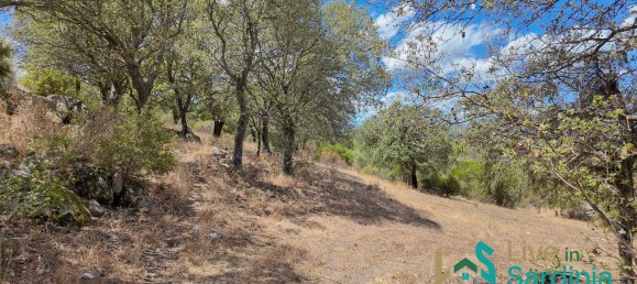 3 bedrooms House in Telti, Italy No. 340769 25