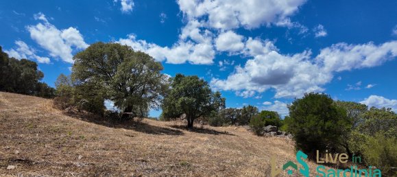 3 bedrooms House in Telti, Italy No. 340769 19