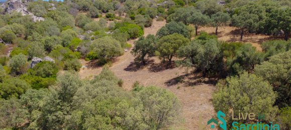 3 bedrooms House in Telti, Italy No. 340769 12