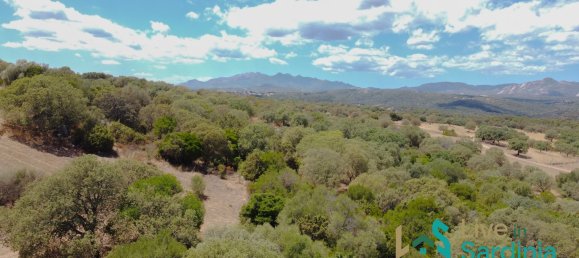 3 bedrooms House in Telti, Italy No. 340769 15