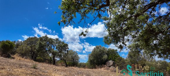 3 bedrooms House in Telti, Italy No. 340769 21