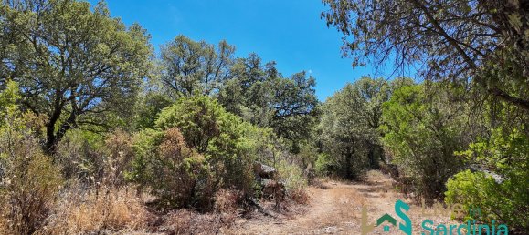 3 bedrooms House in Telti, Italy No. 340769 17