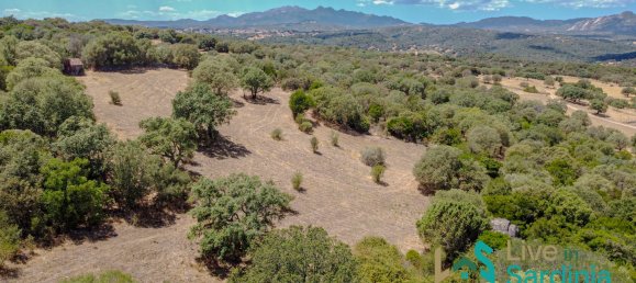 3 bedrooms House in Telti, Italy No. 340769 13