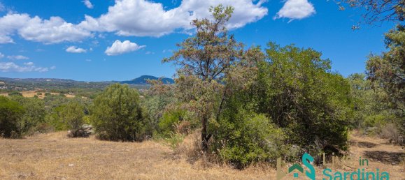 3 bedrooms House in Telti, Italy No. 340769 26