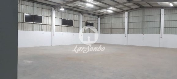 567m² Warehouse in Requiao, Portugal No. 61675 4