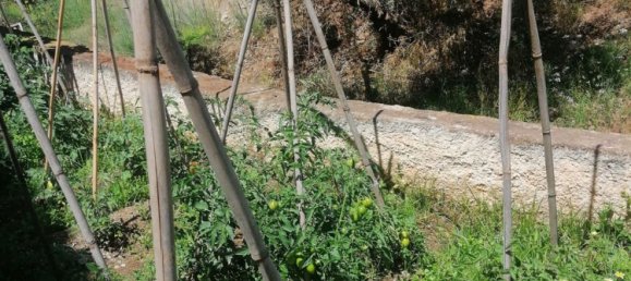 13 bedrooms House in Rincon de la Victoria, Spain No. 102399 15