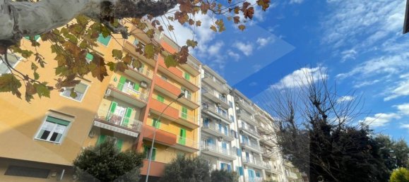 3 rooms Apartment in Molfetta, Italy No. 20455 44