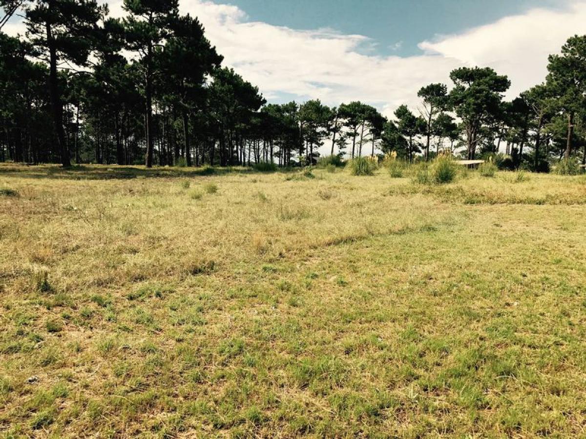  قطعة أرض في Maldonado, Uruguay رقم 15370