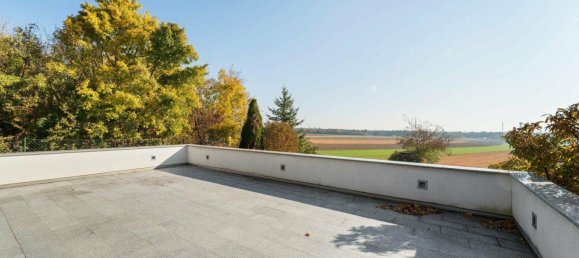 Bungalow de 4 habitaciónes en Bad Fischau-Brunn, Austria No. 175389 7