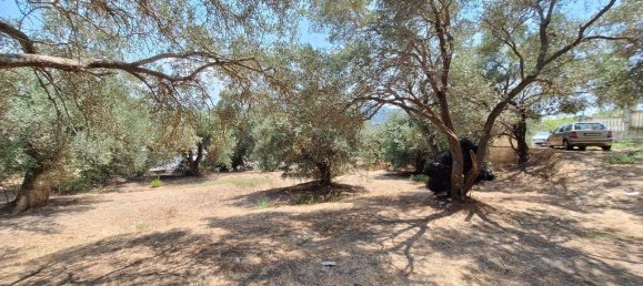 12000m² Hotel in Corfu, Greece No. 1829 13