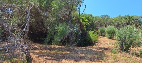 12000m² Hotel in Corfu, Greece No. 1829 9