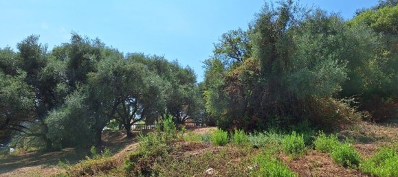 12000m² Hotel in Corfu, Greece No. 1829 12