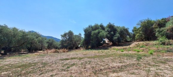 12000m² Hotel in Corfu, Greece No. 1829 4