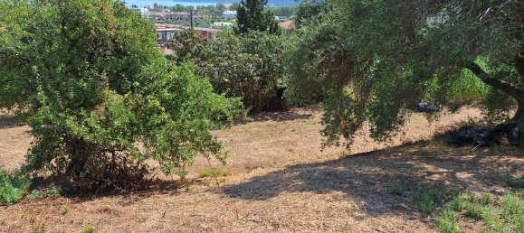 12000m² Hotel in Corfu, Greece No. 1829 10