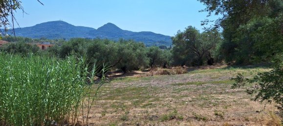 12000m² Hotel in Corfu, Greece No. 1829 6