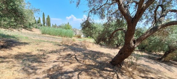 12000m² Hotel in Corfu, Greece No. 1829 11