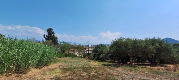 12000m² Hotel in Corfu, Greece No. 1829 5