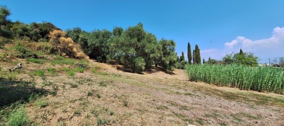 12000m² Hotel in Corfu, Greece No. 1829 8