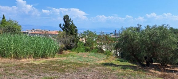 12000m² Hotel in Corfu, Greece No. 1829 7