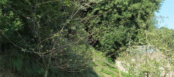 3 chambres Villa à Como, Italy No. 280669 10