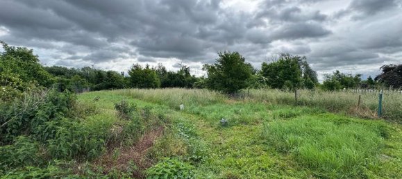 5-salle Maison à Anhalt-Bitterfeld, Germany No. 309396 6