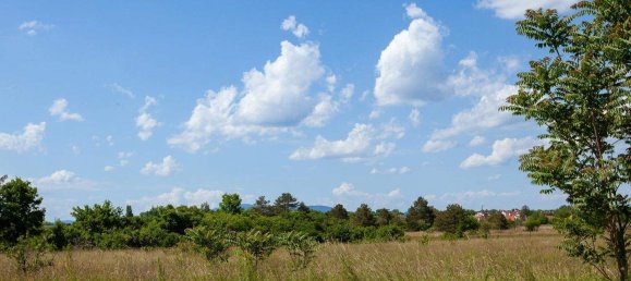 4-Zimmer Stadthaus in Sollenau, Austria, Nr. 237822 21
