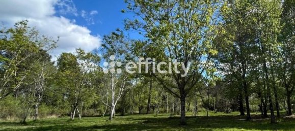 5 غرف نوم منزل في Pessac, France رقم 101499 10