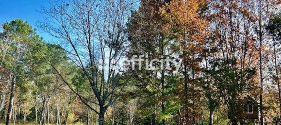 5 غرف نوم منزل في Pessac, France رقم 101499 6