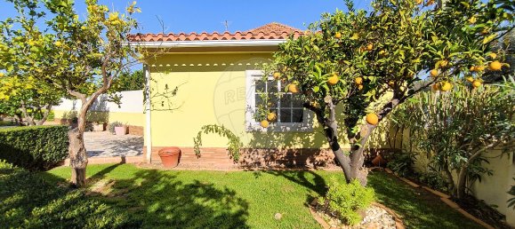 2 bedrooms House in Torres Novas, Portugal No. 17538 40