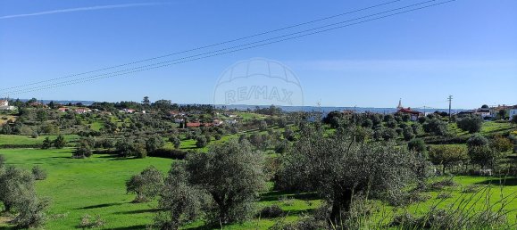 2 bedrooms House in Torres Novas, Portugal No. 17538 46