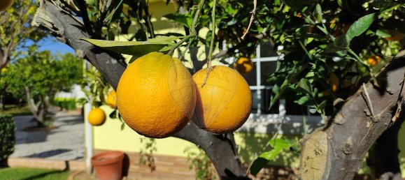 2 bedrooms House in Torres Novas, Portugal No. 17538 14