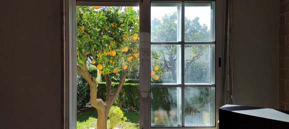 2 bedrooms House in Torres Novas, Portugal No. 17538 27