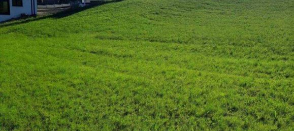  Land in Hitzendorf, Austria No. 138238 6