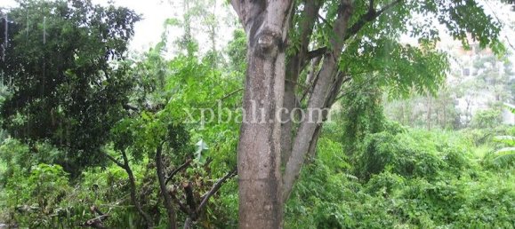 4700m² Land in Kuta, Indonesia No. 3876 2