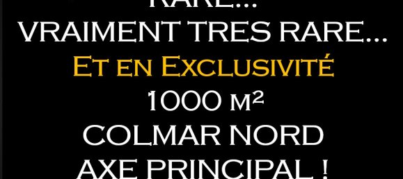Gewerbliche Immobilie in Colmar, France 1000m², Nr. 89819 3
