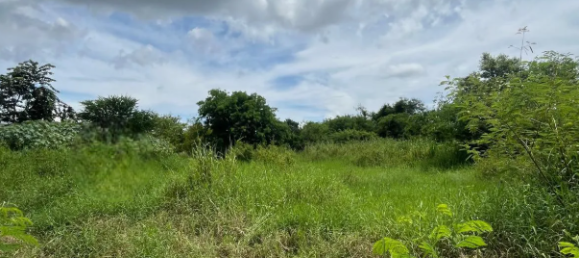 Grundstück in Hua Hin, Thailand 9600m², Nr. 63481 2