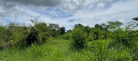 Grundstück in Hua Hin, Thailand 9600m², Nr. 63481 5