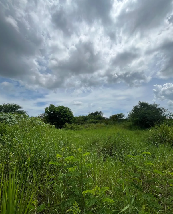 Grundstück in Hua Hin, Thailand 9600m², Nr. 63481