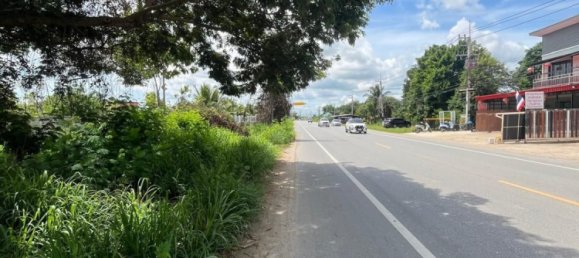 Grundstück in Hua Hin, Thailand 9600m², Nr. 63481 4