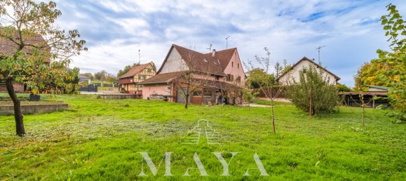 3 غرف نوم منزل في Heiwiller, France رقم 222829 2