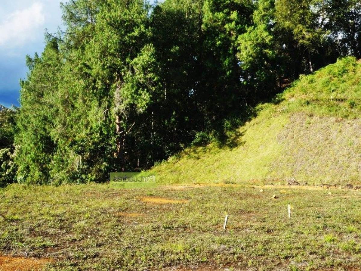  قطعة أرض في Antioquia, Colombia رقم 595