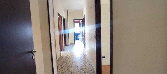 5 bedrooms Apartment in Naples, Italy No. 336355 34